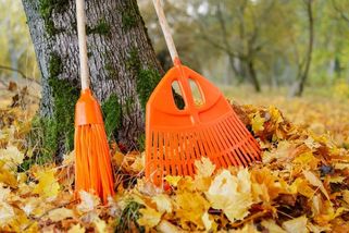 Najala jsem firmu na zazimování zahrady: Když přišel účet, myslela jsem, že jde o vtip. Za tu cenu bych čekala zámecký park